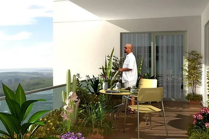 The man viewing the city from his verdant balcony