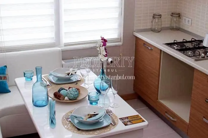 One of the kitchens in Aris Park Residence