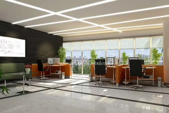 An office in Arwen Istanbul Office & Residence