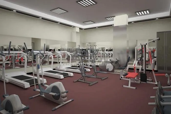 Gym in Aydos House