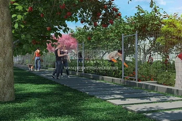 The small hobby gardens in Bizimtepe Aydos