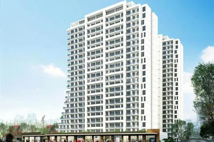 Bosspoint homes