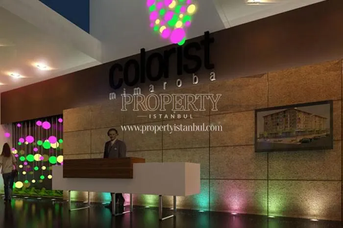 The reception of Colorist Mimaroba