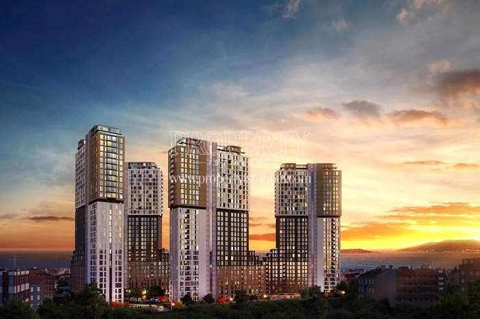 DKY Ada project