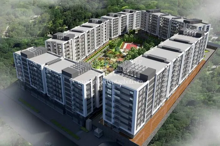 DNZ Kurtkoy project