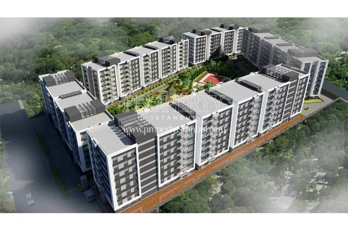 DNZ Kurtkoy project