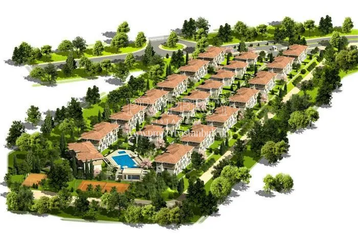 Dekar Asmali Sokaklar project