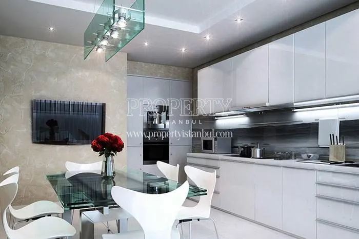 One of the kitchens in EMS 211 Park