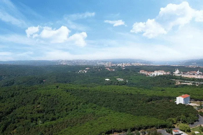 Forest view from Eclipse Maslak