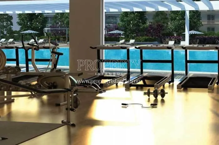 Gym in Elite City