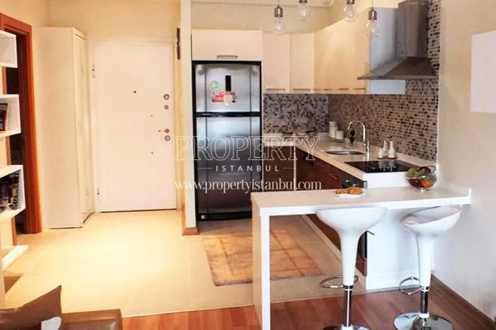 Open plan kitchen in Elitist Park