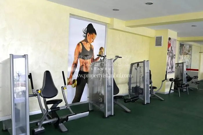 Gym in Elitist Park