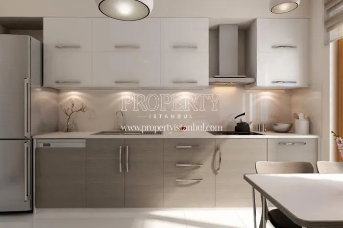 One of the kitchens in F. Ayanoglu Residence