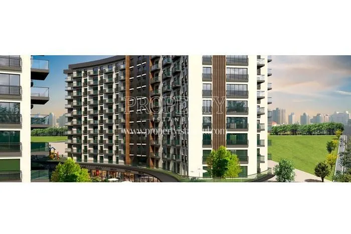 Farilya Asia project