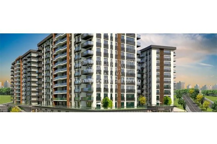 Farilya Asia project