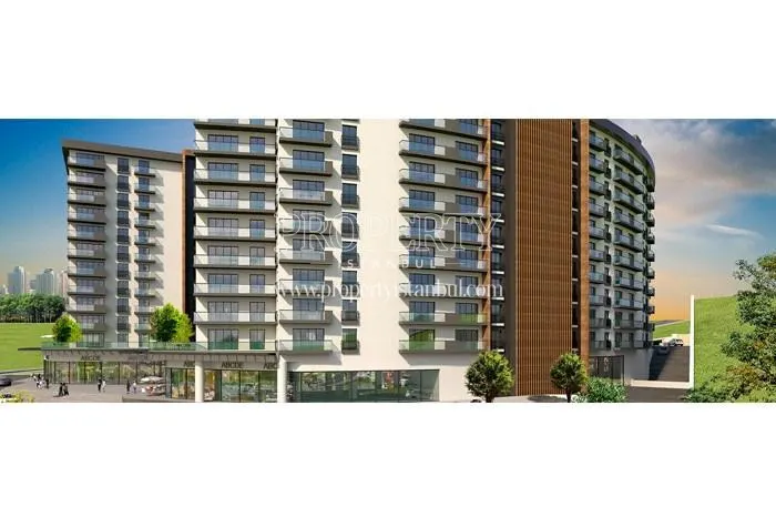 Farilya Asia blocks from the back side