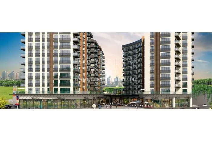 Farilya Asia project