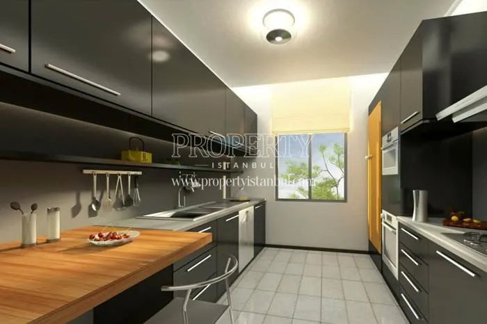 Black kitchen cabinets in the kitchen in Gaia Premium Houses