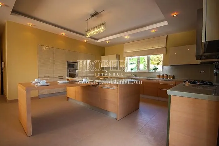 One of the kitchens in Gunisigi Konaklari