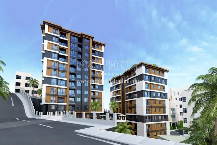 Halic 1453 project
