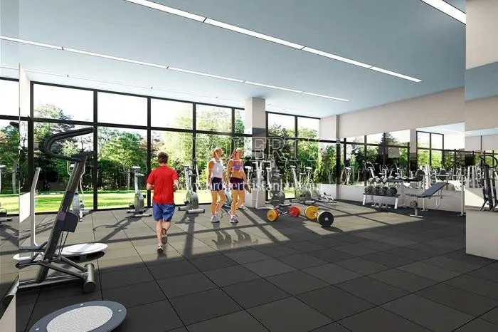 Gym in Hane'm Gunesli
