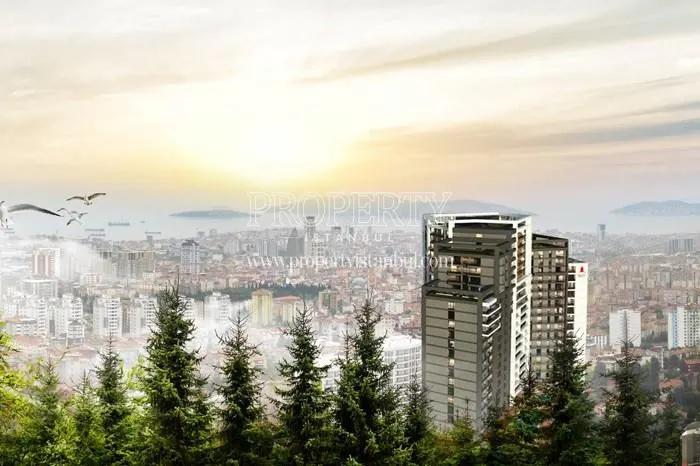 Helenium Sky Suite project