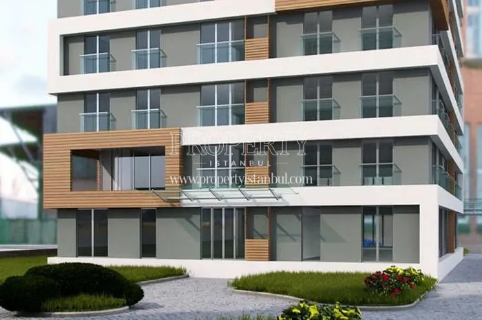 Home Aves project