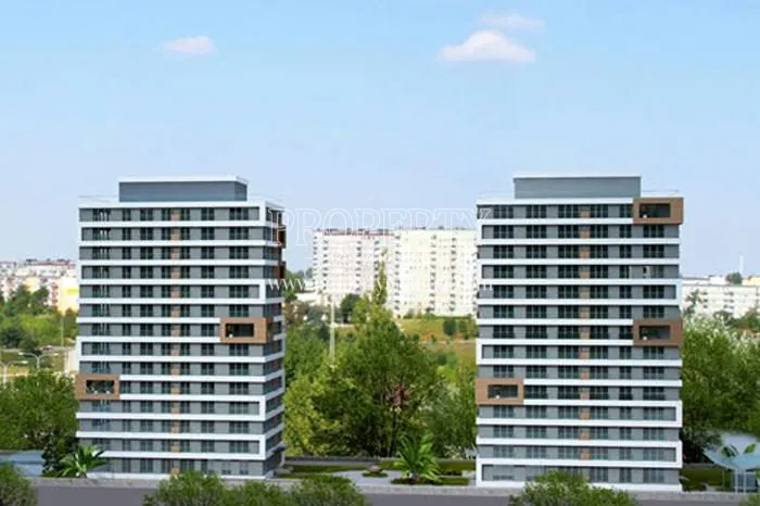 Home Aves buildings