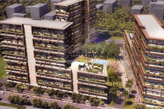 Inistanbul Lokal project
