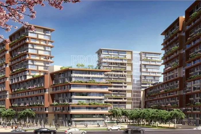 Inistanbul Lokal project
