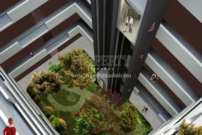 The small garden of Istanbulensis