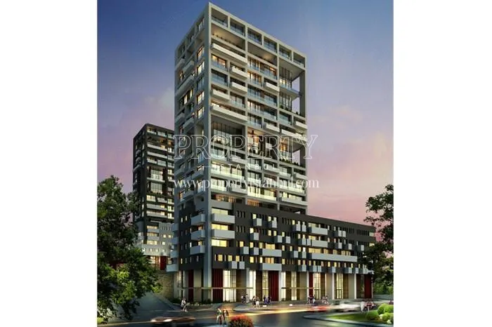 Kartal Wings project