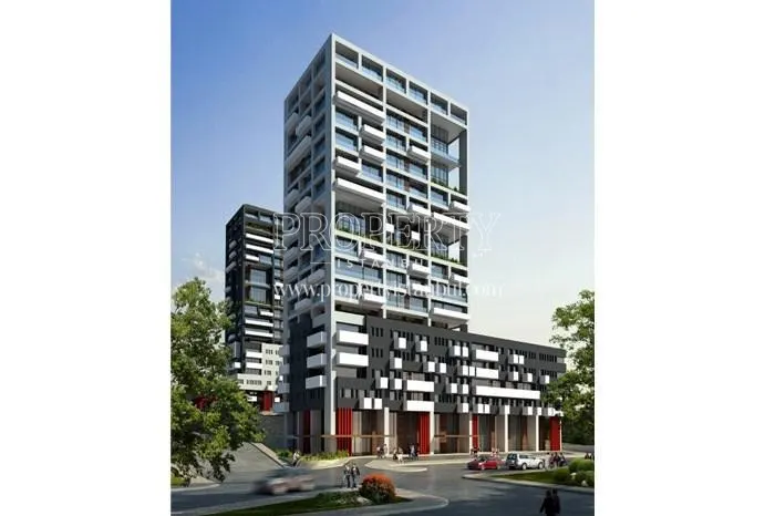 Kartal Wings project