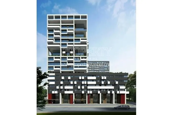 Kartal Wings project