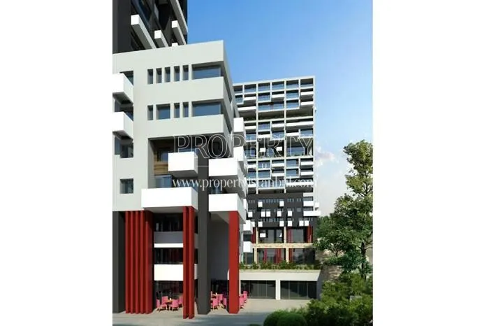 Kartal Wings, photo 2