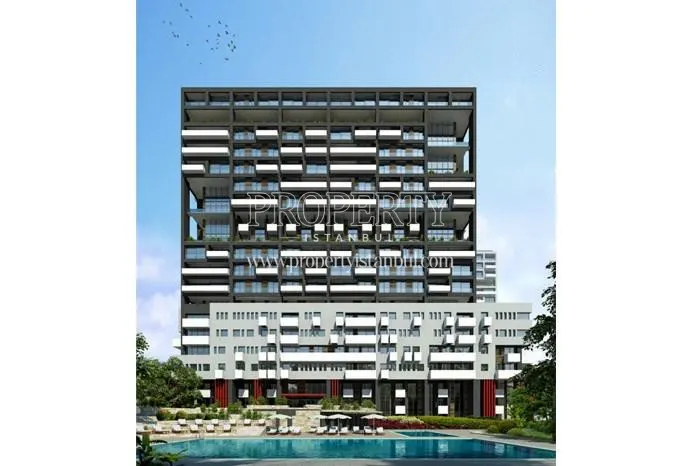 Kartal Wings project