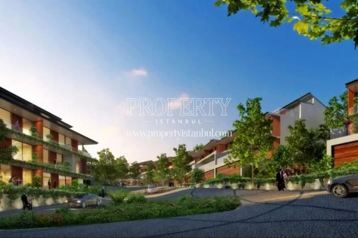 Koy compound