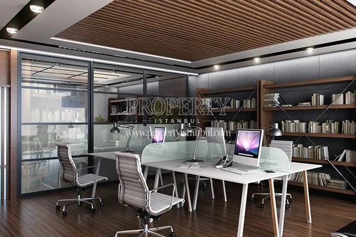 Office unit in Lea Caglayan