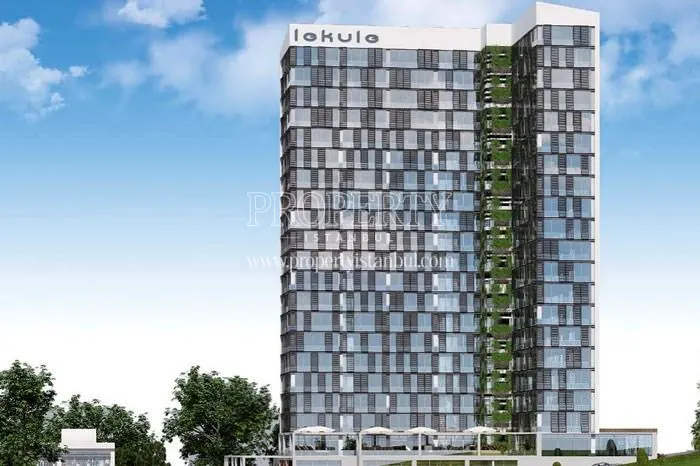 Lekule project