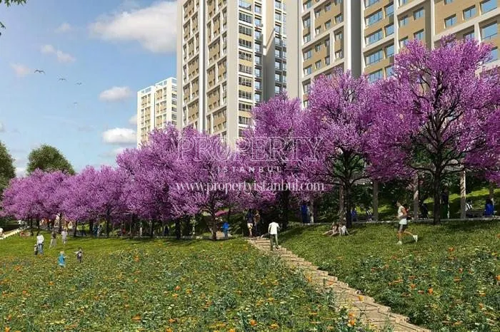 The purple trees in the Lokum Evler garden
