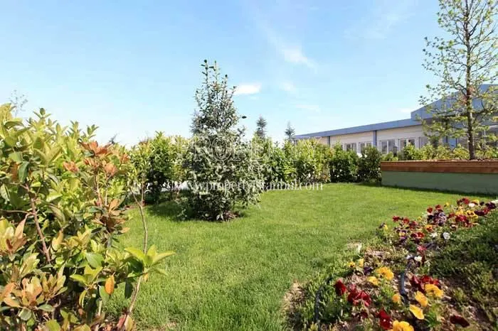 The verdant garden of MNG Blue Boutique
