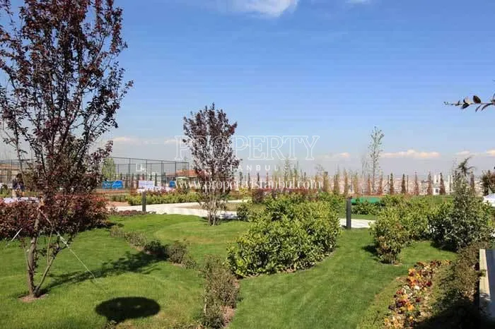 Verdant garden in the MNG Blue Boutique compound