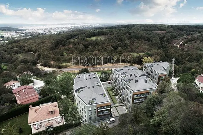 Mika Naturalist project among the trees