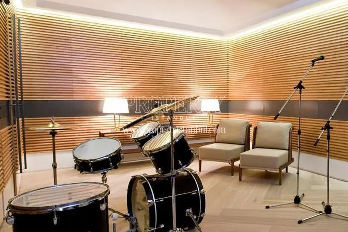 The music room in Nef Offices 09 Dort Levent