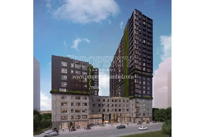 Optimist Residence project