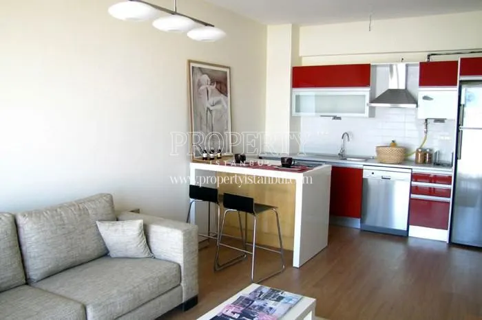 Small open kitchen with red kitchen cabinets in Orion Park