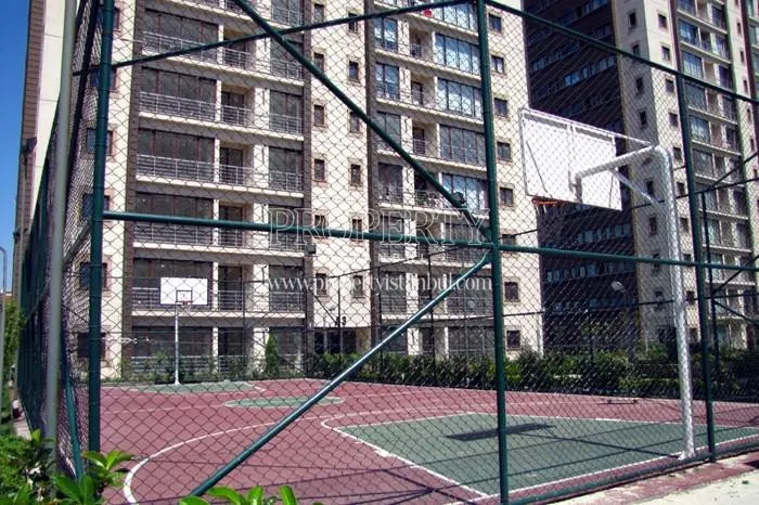Basketball court in Orion Park