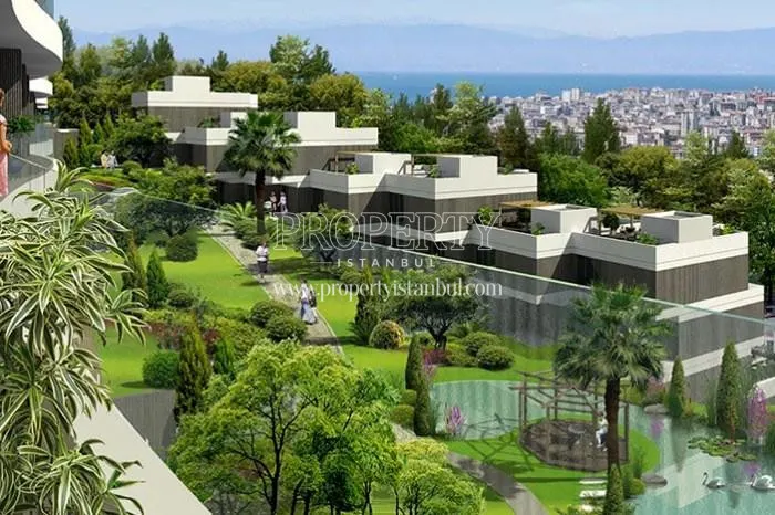 Panorama Hill landscape