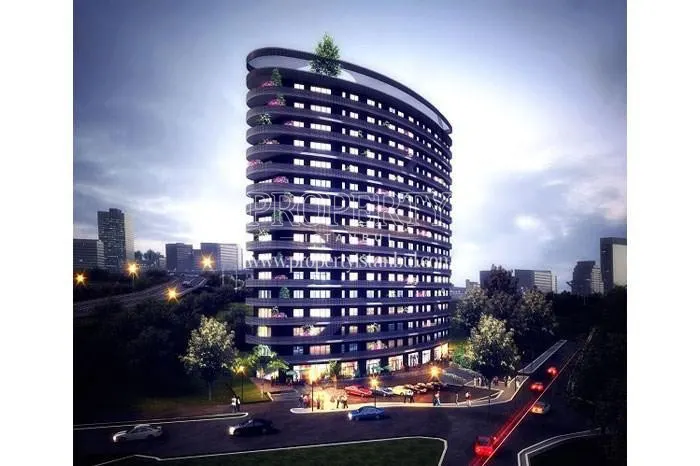 Parima Merter project