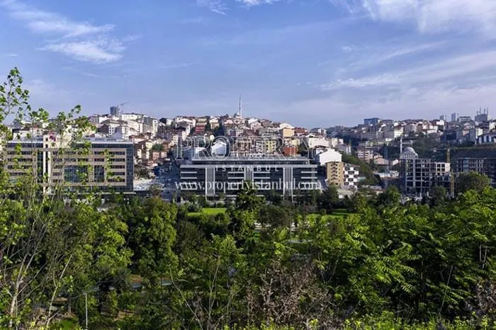 Polat Ofis from the wooded field